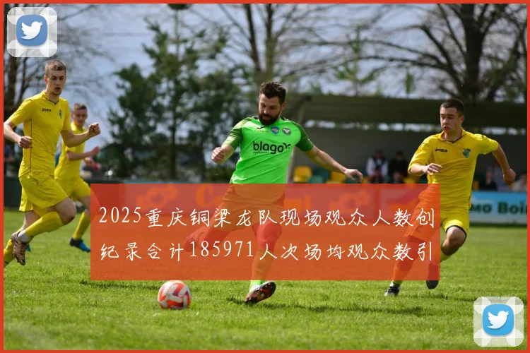 2025重庆铜梁龙队现场观众人数创纪录合计185971人次场均观众数引发热议
